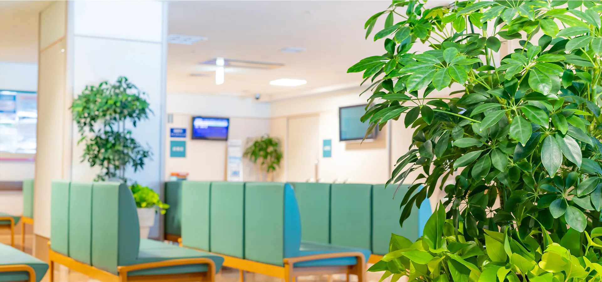 医療法人晴聖会